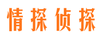 宁阳出轨调查